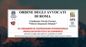 Organismi di cooperazione interaziendale